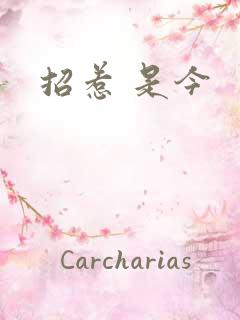 招惹 是今