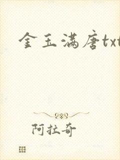 金玉满唐txt