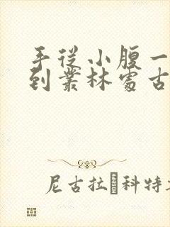 手从小腹一路开到丛林处古代