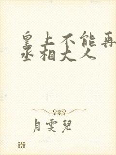 皇上不能再进了丞相大人