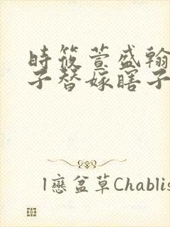 时筱萱盛翰钰傻子替嫁瞎子免费阅读