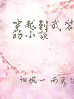 穿越到武装少女的小说