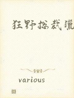 狂野总裁猎逃妻