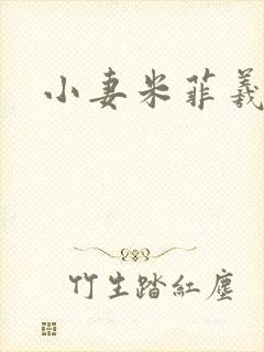 小妻米菲羲捷