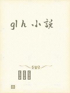 gl h 小说