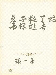 兔子救了蛇被蛇两根进去