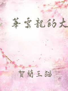 华云龙的大宝贝