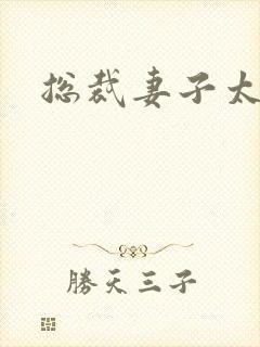 总裁妻子太诱人