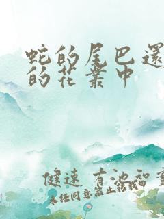 蛇的尾巴还在我的花丛中