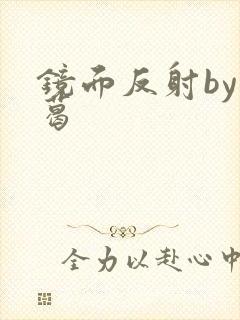 镜面反射by九葛