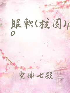 服软(校园)po