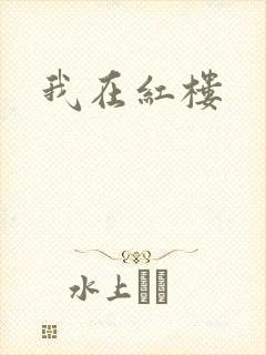 我在红楼