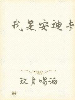 我是安迪卡罗尔