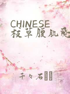 CHINESE校草腹肌飞机视频