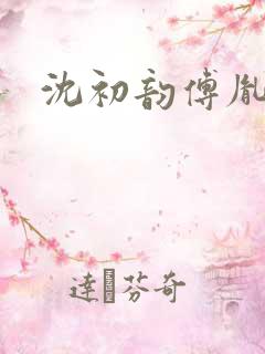 沈初韵傅胤小说