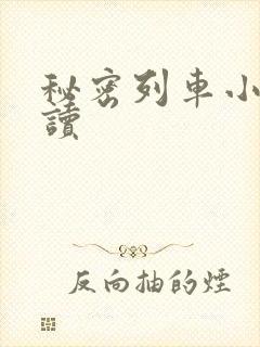 秘密列车小说阅读