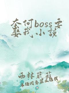 奈何boss要娶我小说