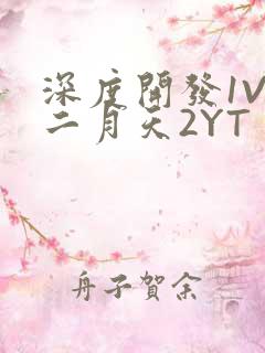 深度开发1V3二月天2YT