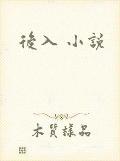 后入 小说