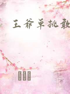王爷单挑敢不敢