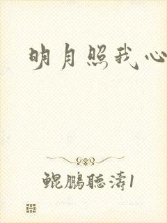 明月照我心小说