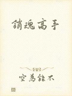 销魂高手