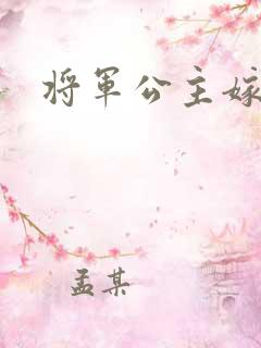 将军公主嫁到