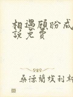 相遇顾盼成欢小说免费