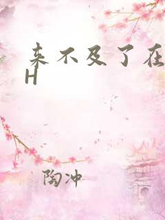 来不及了在车CH