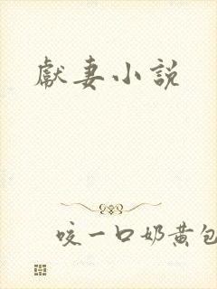 献妻小说