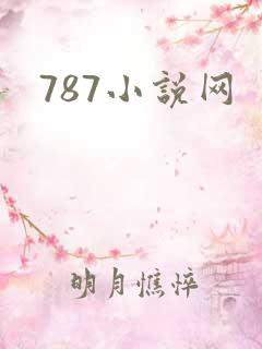 787小说网