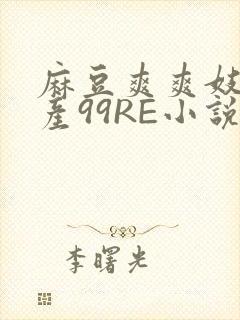 麻豆爽爽妓女国产99RE小说