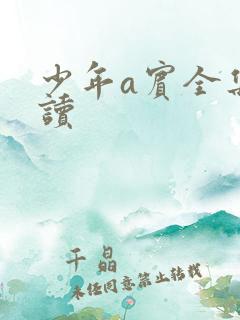 少年a宾全集阅读