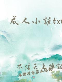 成人小说txt
