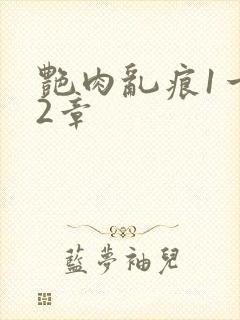 艳肉乱痕1一12章