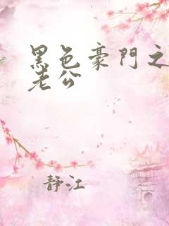 黑色豪门之王子老公