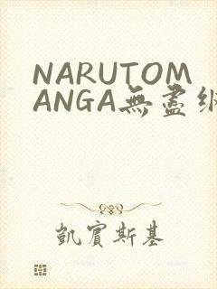 NARUTOMANGA无尽纲手