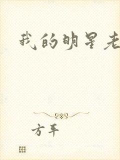 我的明星老豆