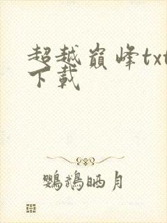 超越巅峰txt下载