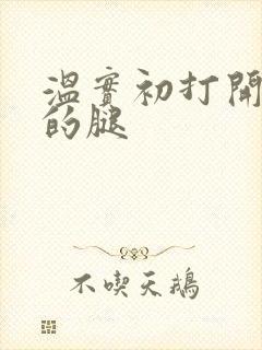 温实初打开眉庄的腿