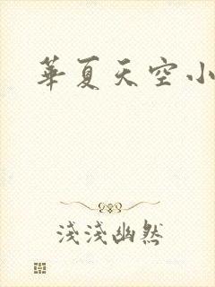 华夏天空小说网