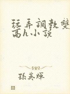 玩弄调教双胞胎高h小说