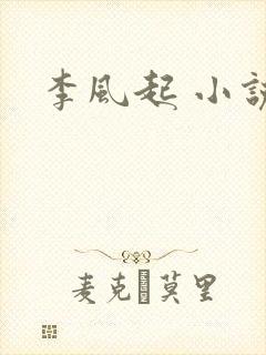 李风起 小说