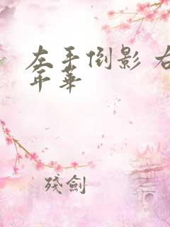 左手倒影 右手年华