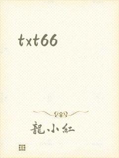 txt66