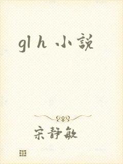 gl h 小说