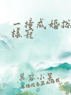 一撞成婚总裁花样宠