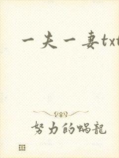 一夫一妻txt