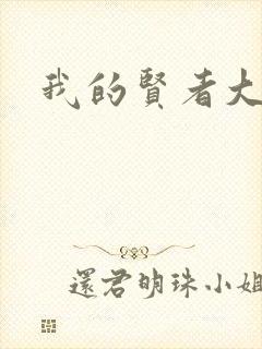 我的贤者大人