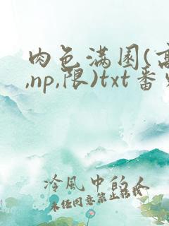 肉色满园(高h,np,限)txt番外篇